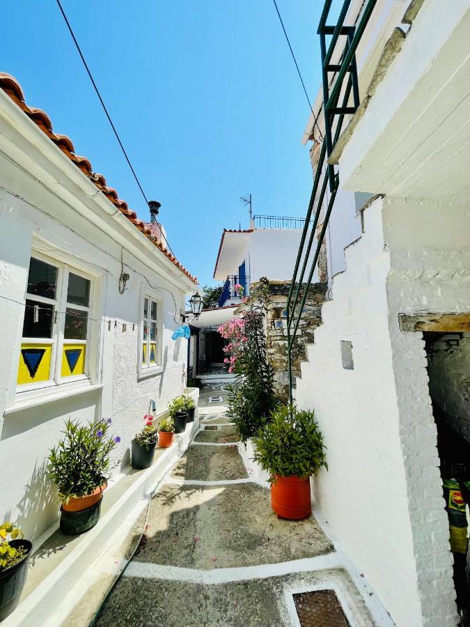 Άκρη Του Κόσμου Villa Ampelos  Eksteriør bilde